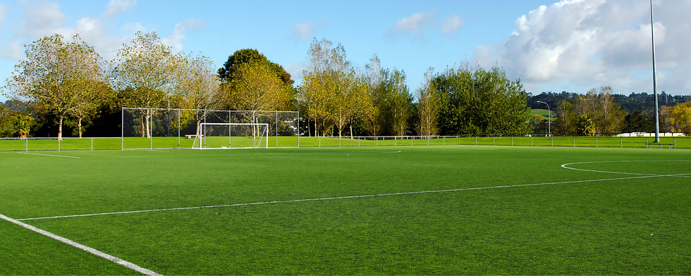 Natural Turf Soccer Pitches Banner.png