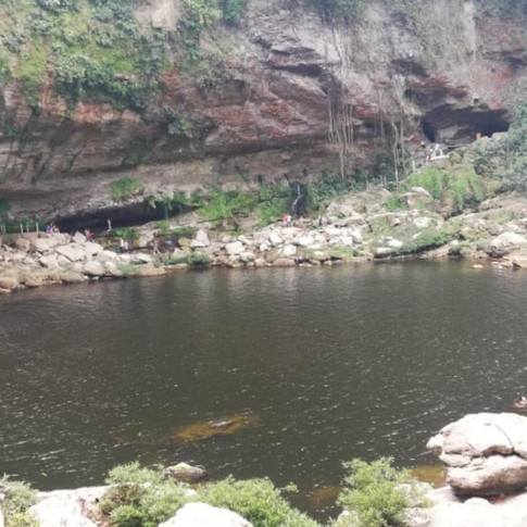 MISOL - HA CHIAPAS 2019