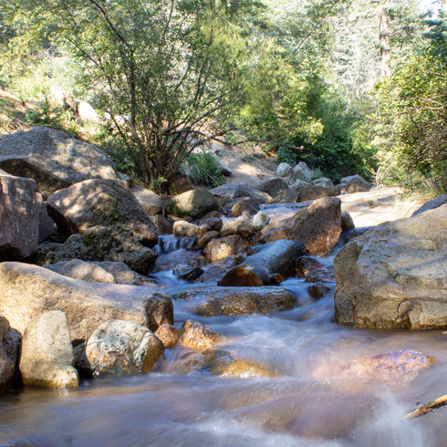 New Photographer Tips by O'Kelley Photography