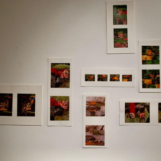 Exposição ESSATERRA: Um Novo Começo no espaço AL859