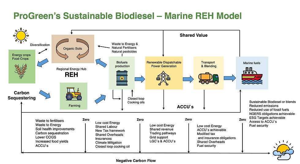A sustainable biodiesel production flow diagram showing circular loops where each stage of production can feed both the next stage and prior stages, creating resilience, efficiency and reclaiming carbon emissions