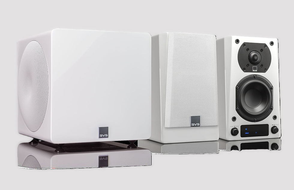 SVS 3000 Micro