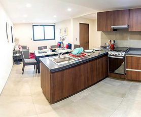 BAU DESIERTO DE LOS LEONES