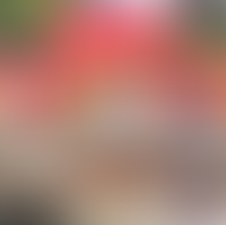 🇩🇰 YE "Green, Sustainable and Healthy Living" - 04-12.12.2024 - Hundslund, Denmark