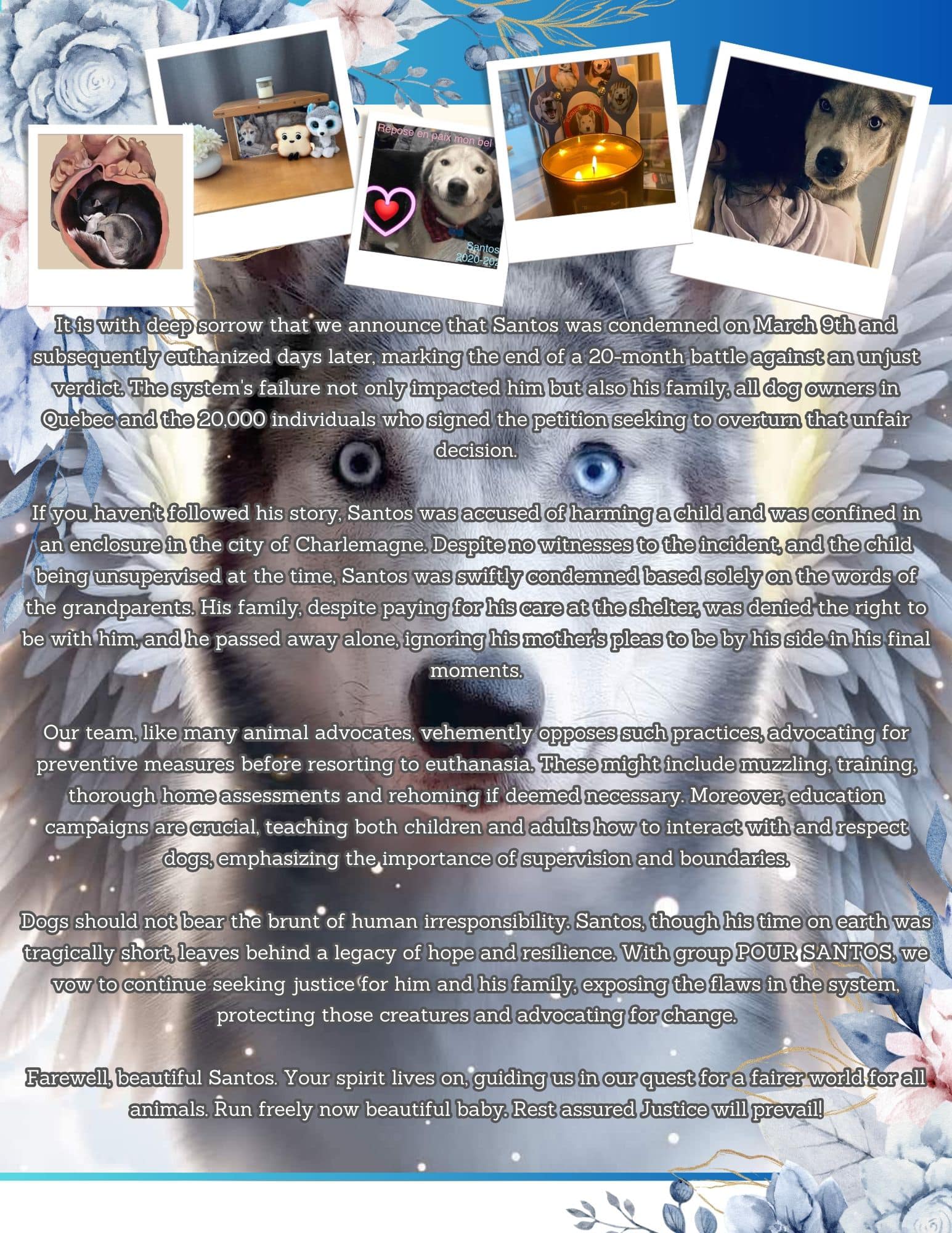April Paws-Letter