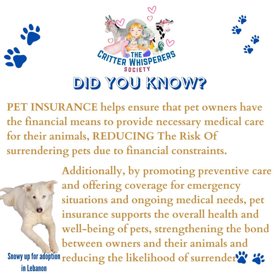 Did You Know