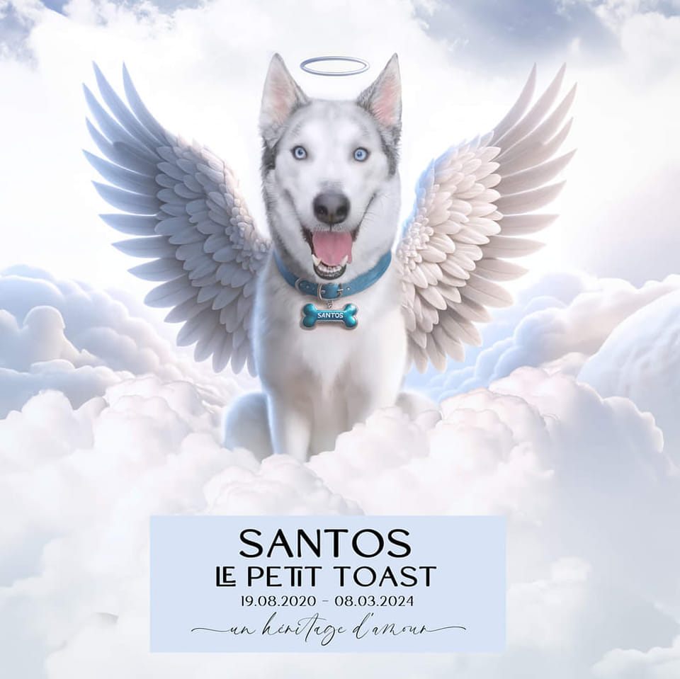 Goodbye Santos