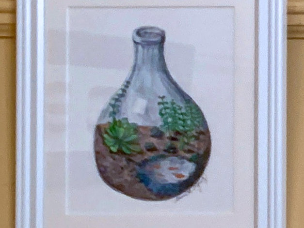 Koi Terrarium