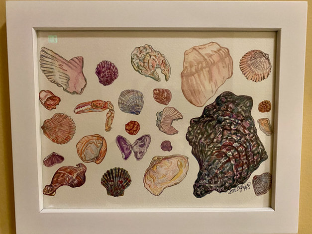 Pink Shells
