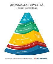 Aikuisten liikuntasuositukset2019Pyramid