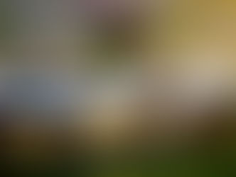 Grande table de pique-nique en bois avec de la nourriture, dans un cadre champêtre près d'un lac avec une lumière jaune