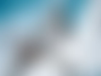 Home-Court Advantage