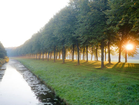 The Exception and Not the Rule 