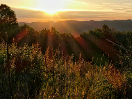 Passionate Christianity