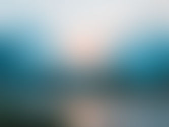 How Much is He Worth?