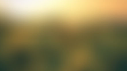 I am the Resurrection and the Life