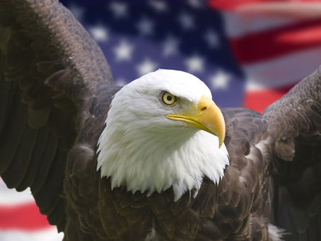In God We Trust