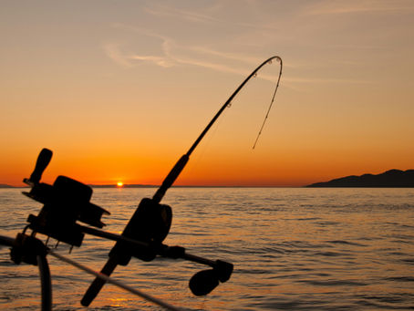 Ultimate Fishing