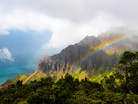 Paradise is Waiting
