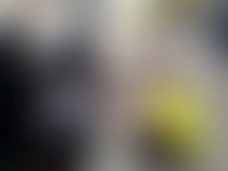 学生们在Oakville夏季音乐节做义工