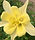 IMG_0271_edited.jpg