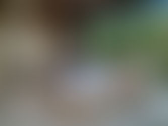 Is Padonan Worth It? The Quiet Side of Canggu Nobody Talks About