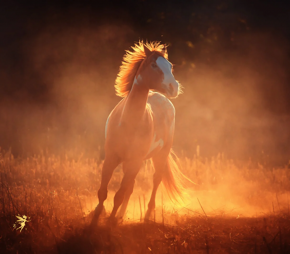 Thumbnail: Tumbler 20oz