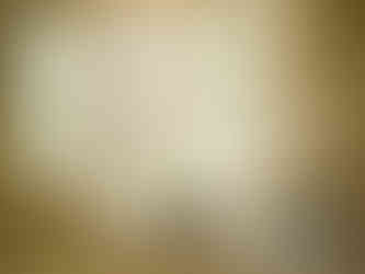 Composite Plantation Shutter French Door