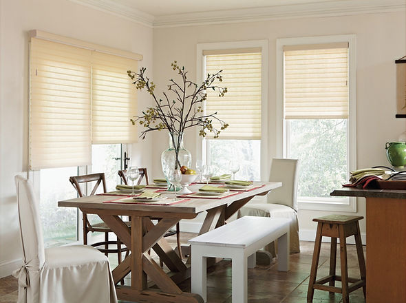 Tenera Sheer Horizontal Shades