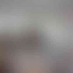 Allure Transitional Shades add personality to this Allison Park, PA sunroom