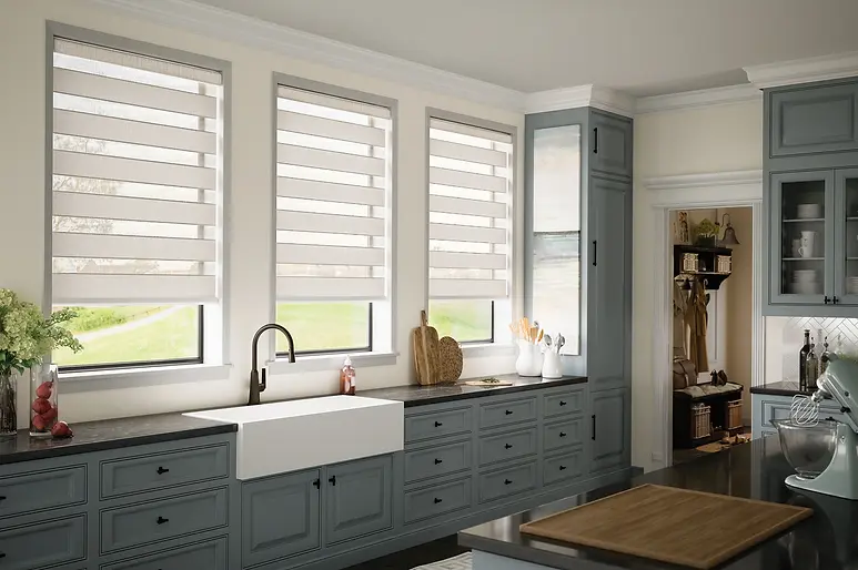 Allure Transitional Shades
