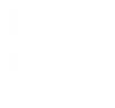 RC-Logo-White.png