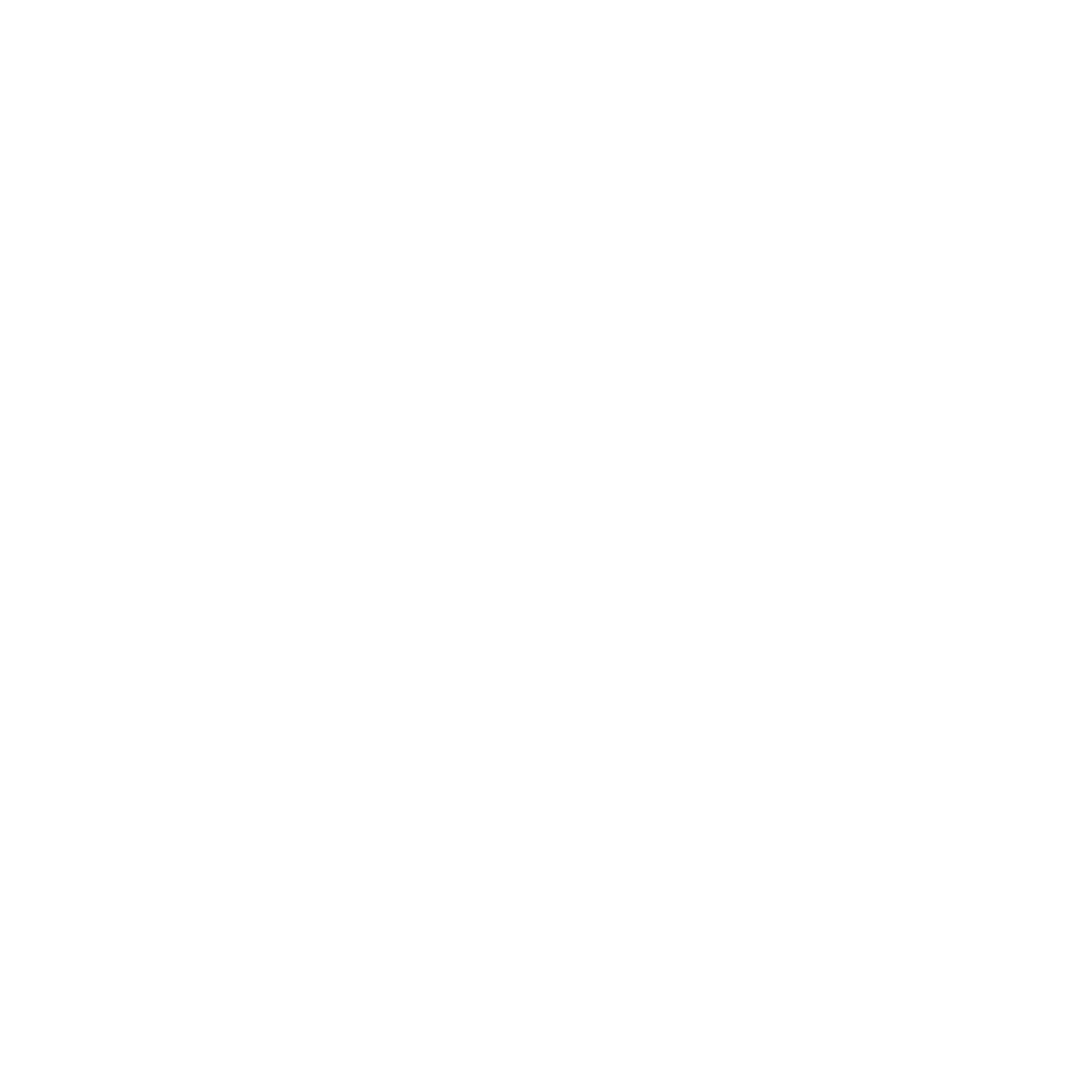 LIBERDA Media Logo