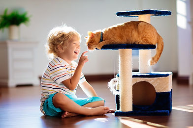 AdobeStock_250311752.jpeg