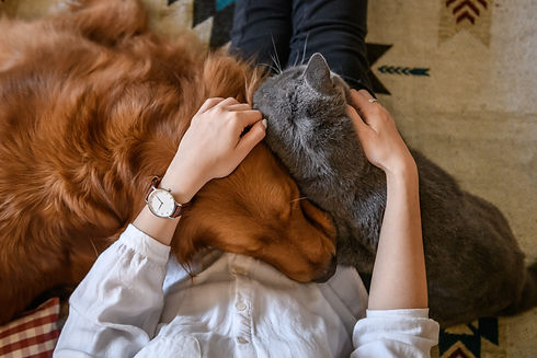 AdobeStock_188773191.jpeg