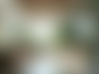 Creating Harmony in Your Business with Feng Shui