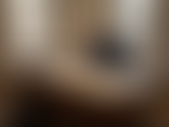 Attorney reviewing intellectual property documents at desk