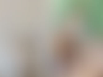 Creando un ambiente amigable para mi gato.