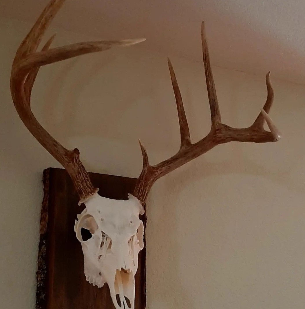 Broken tine replacement