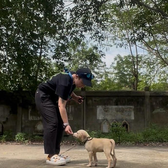 WhatsApp Image 2026-03-21 at 11.29.44.jpeg