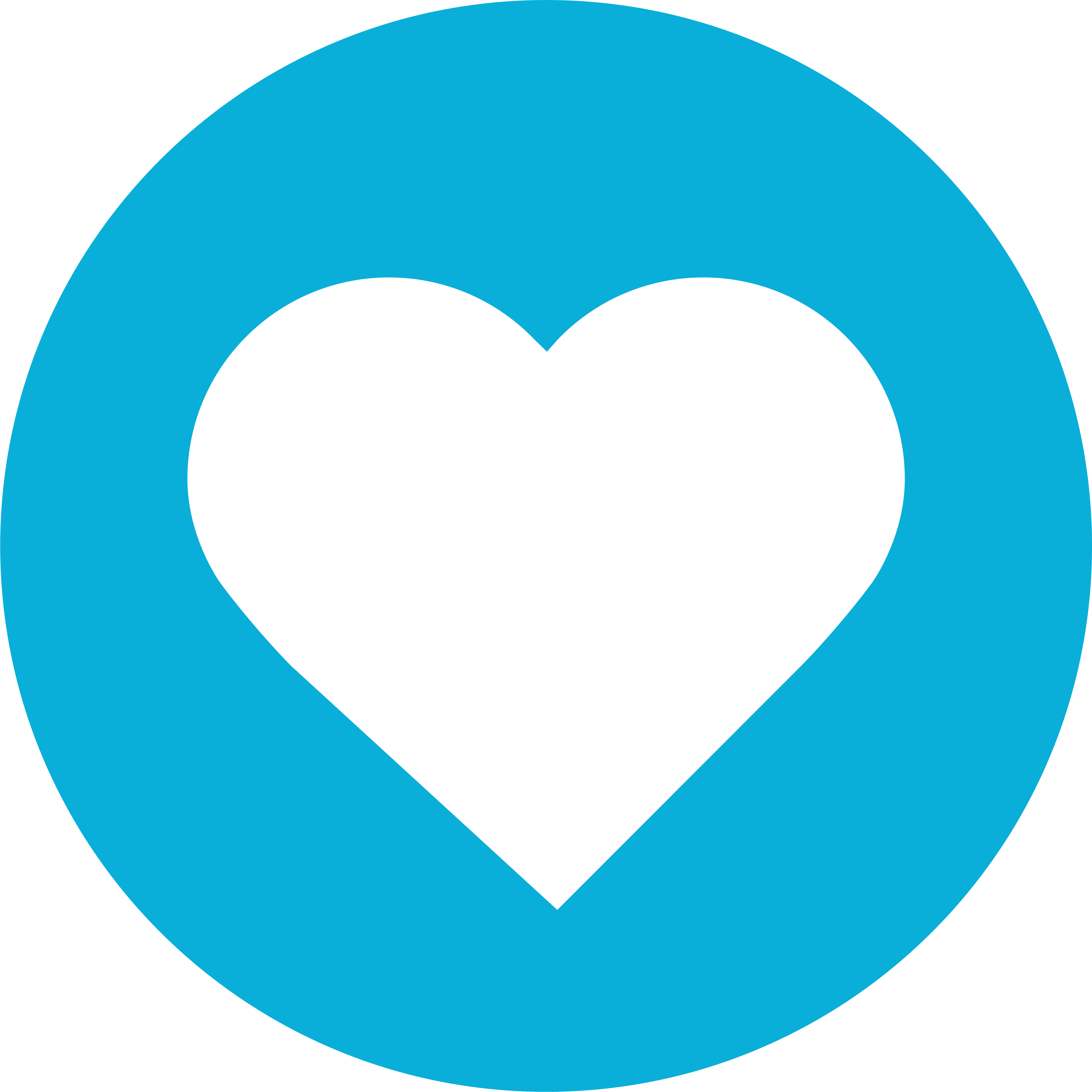 HFH_ICON_HEART_BlueCircle.png