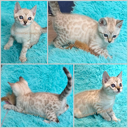 Marilyn Monroe 6weeks.jpg