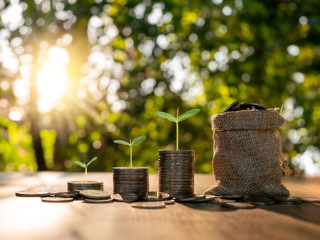 Tree graph showing stacked coins