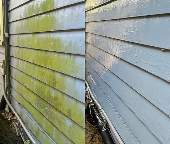 Copy of Before and after sidewalk.png