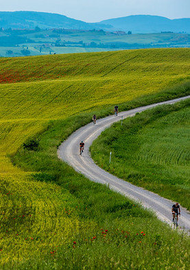dirt roads ebike tour tuscany chianti.jpg