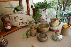 Broceliande (43).JPG