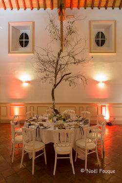 Mariage M & M-0536w NOEL FOUQUE (7).jpg