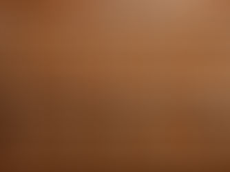 See you later, Allocator