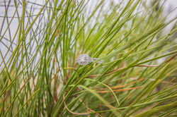 IMG_5096