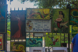 IMG_8219_edited